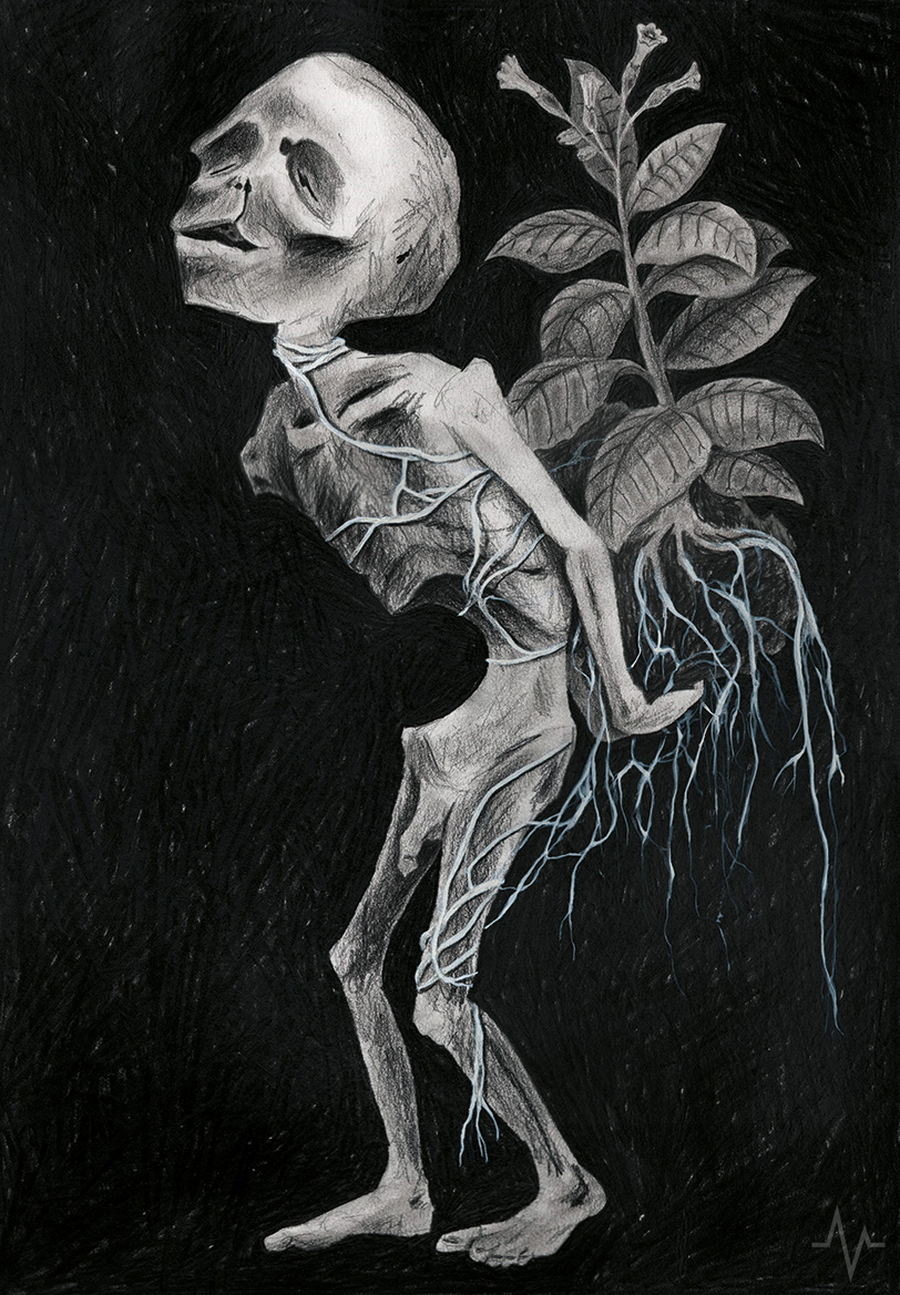 23. BLACKSERIES | LUNGS FULL OF ROOTS Black and white pencil drawing by Hilbert van der Staal, het hart van Bron of a figure carrying a tobacco plant on his back with roots strangling his body, illustrating the weight of addiction. Drawing is part of the VEINWORK - BlackSeries